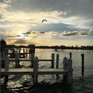 Meet your Posher, Ellie